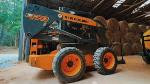 holland_50y